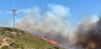 Σε εξέλιξη οι πυρκαγιές στα Μεσοχώρια Ευβοίας και την Αρχαία Κόρινθο
