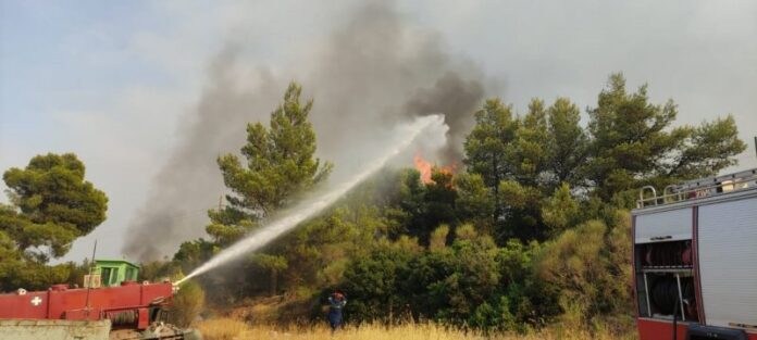 Συνδρομή των Ενόπλων Δυνάμεων στην κατάσβεση των πυρκαγιών (ΦΩΤΟ)