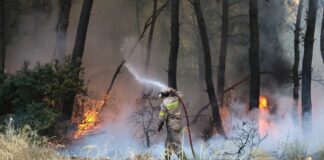 Φωτιά στην Αρκαδία: Μεγάλο το μέτωπο στη Γορτυνία