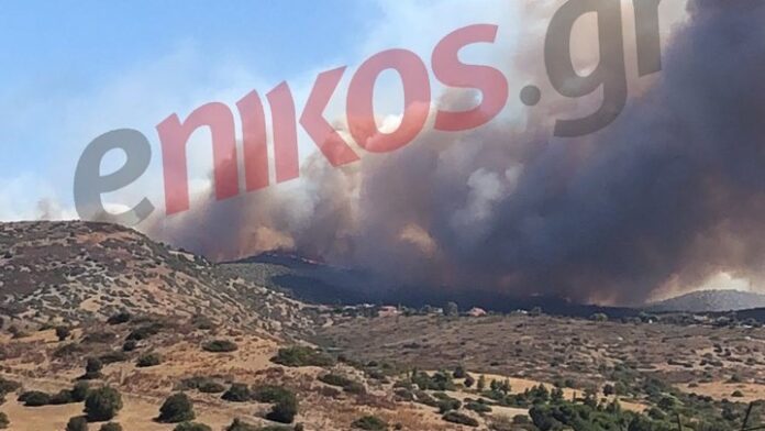 Ανεξέλεγκτη η φωτιά στα Βίλια: Τεράστιο το πύρινο μέτωπο – Εκκενώθηκαν 5 οικισμοί και ένα γηροκομείο (Video)