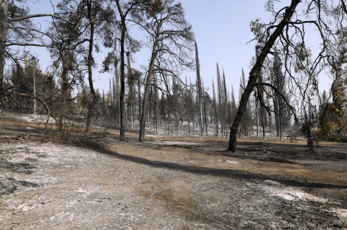 Φωτιά στην Εύβοια: Eκκενώθηκε το κάμπινγκ στην Αγία Άννα – H Αστυνομία απομάκρυνε τον κόσμο