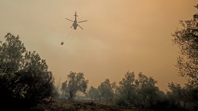 Φωτιά στην Εύβοια: Εντολή εκκένωσης της Σκεπαστής – Σε τρία μέτωπα η πύρινη λαίλαπα