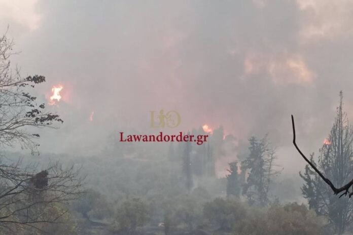 Κεγκέρογλου για τη φωτιά στην Εύβοια: «Το αίτημα για ενίσχυση με εναέρια μέσα, δεν έχει ικανοποιηθεί»