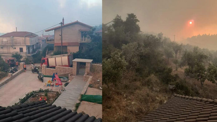 Εύβοια: Βιβλική καταστροφή, στις φλόγες και τα Βασιλικά – Μάχη για να μην φτάσει στην Ιστιαία – (VIDEO)