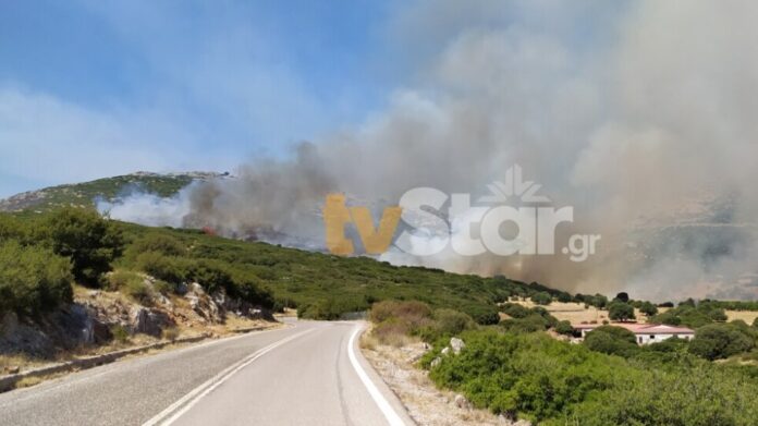 Φωτιά στη Νότια Εύβοια