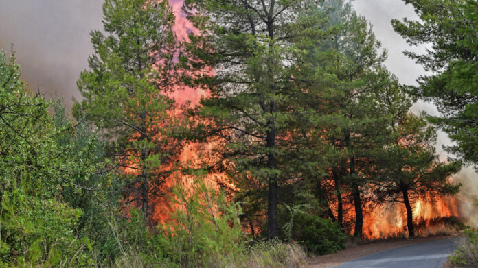 Φωτιές: Συνεχίζουν να επιχειρούν δυνάμεις της Πυροσβεστικής σε Γορτυνία, Αρχαία Ολυμπία και Ανατολική Μάνη