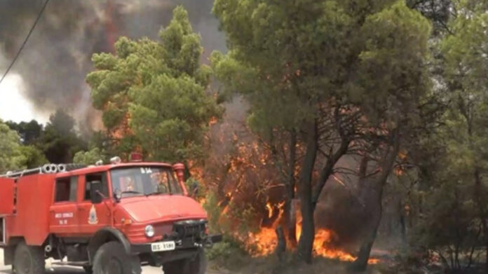 Φωτιά στα Βίλια: Άλλαξαν φορά οι άνεμοι – Προς τον οικισμό κατευθύνονται οι φλόγες-(VIDEO)