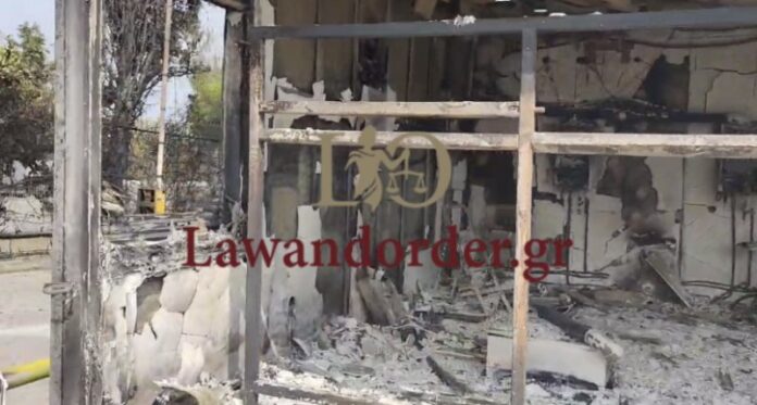 Μεγάλες ζημιές στο Τατόι από την φωτιά στη Βαρυμπόμπη (VIDEO)