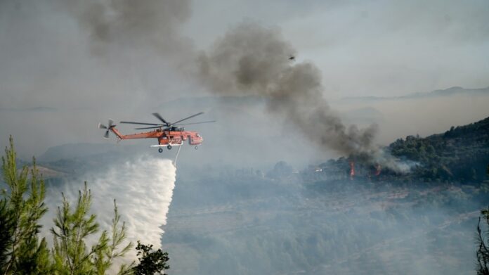 Φωτιές: Στο νοσοκομείο ένας πυροσβέστης στη Χαλκίδα και μία ηλικιωμένη στους Μολάους