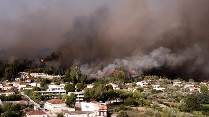 Φωτιά στην Αρχαία Ολυμπία: Άλλαξε και πάλι φορά ο αέρας – Οι φλόγες κινούνται κοντά στον ευρύτερο αρχαιολογικό χώρο