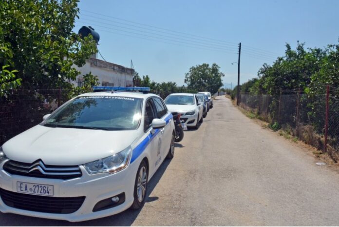 Καλαμάτα: Εντοπίστηκε φυτεία κάνναβης με 394 δενδρύλλια