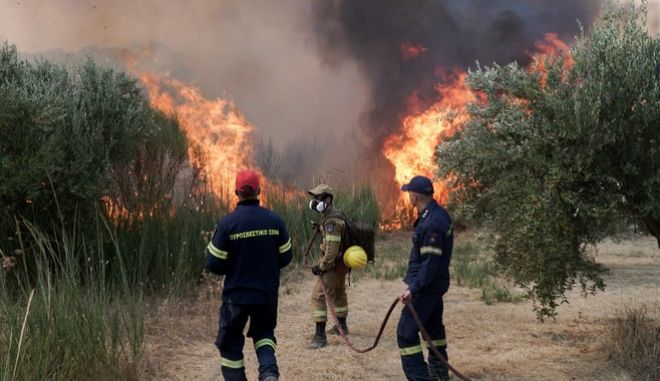 O Πρόεδρος των Πυροσβεστών διαψεύδει ρεπορτάζ του SKAI: Δεν υπήρξε προπηλακισμός πυροσβεστών
