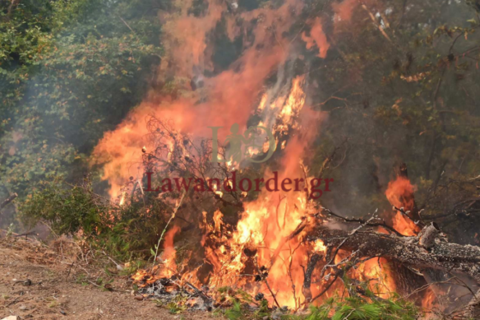 Φωτιά στην Αρχαία Ολυμπία: Εκκενώνονται ακόμη οκτώ οικισμοί