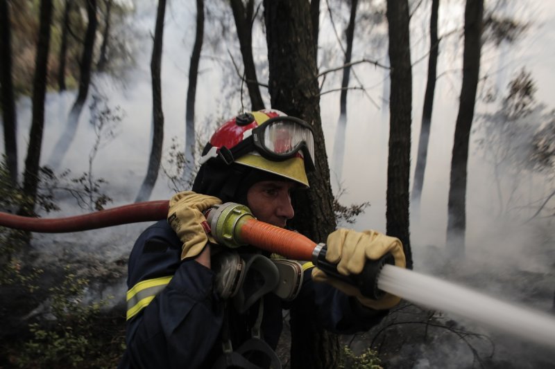 pyrkagia_pyrosvestiki4