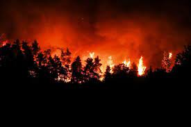 23.50′ – Νύχτα αγωνίας στην Αττική: Ολονύχτια μάχη με τις φλόγες στα Βίλια – «Καραούλι» για αναζωπυρώσεις στην Κερατέα (video)