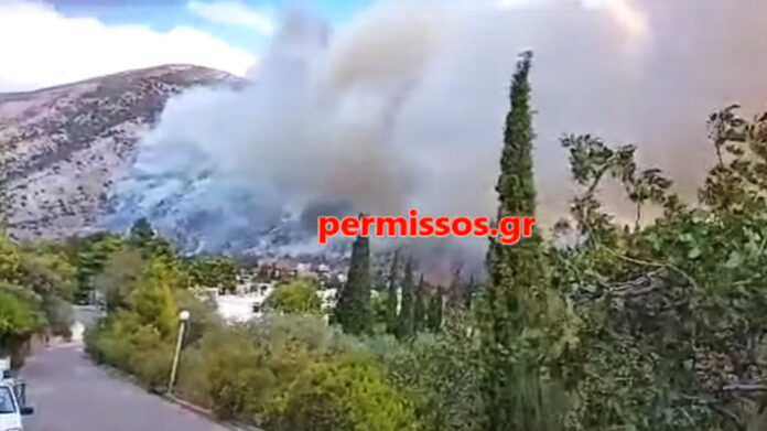 Φωτιά στην παραλία Διστόμου – Μήνυμα από το 112 στους κατοίκους να βρίσκονται σε ετοιμότητα