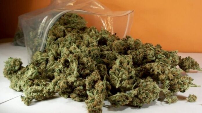 Πειραιάς: Τρεις συλλήψεις για διακίνηση ναρκωτικών – Βρέθηκαν πάνω από 30 κιλά κάνναβης