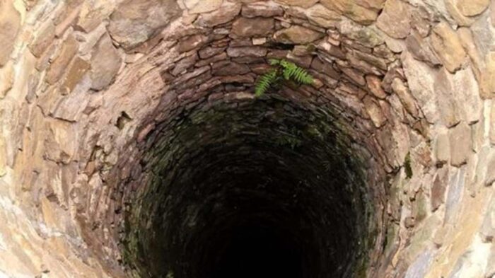 pigadi-e1601807531918