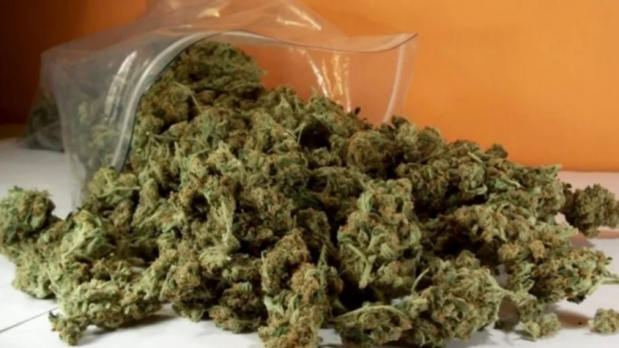 Φυγόποινος, παράτυπος μετανάστης συνελήφθη με κάνναβη στην Φλώρινα