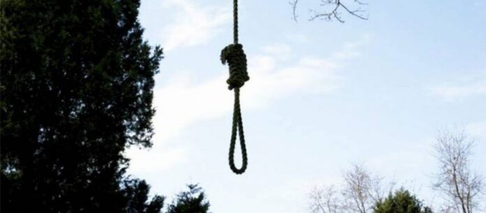 Πέλλα: Εντοπίστηκε νεκρή 47χρονη γυναίκα – Κρεμάστηκε από δέντρο