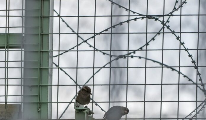 Εντοπίστηκαν ναρκωτικά σε κρατούμενο του Καταστήματος Κράτησης Λάρισας