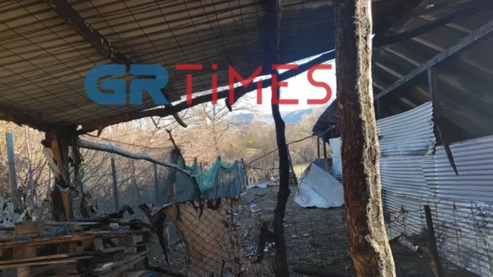 Καστοριά: Φωτιά σε κτηνοτροφική μονάδα έκαψε ζωντανά 250 αιγοπρόβατα-(ΦΩΤΟ)