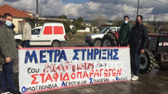 Στον δρόμο οι αγρότες της Ηλείας για τη σταφίδα