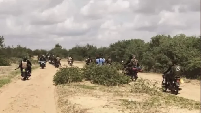 Νιγηρία: Τουλάχιστον 30 νεκροί σε εφόδους κακοποιών εναντίον χωριών στη Ζαμφαρά