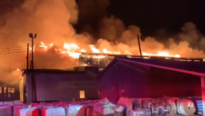 ΗΠΑ: Πυρκαγιά σε εργοστάσιο λιπασμάτων στη Βόρεια Καρολίνα – Φόβοι για μεγάλη έκρηξη