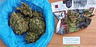 Ο «Δίας» ξετρύπωσε συσκευασίες με κάνναβη στην Καβάλα