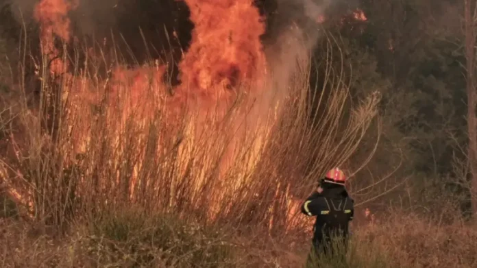 Μαίνεται η φωτιά στη Σάμο από εχθές – Ξεκίνησαν ρίψεις από Canadair-(VIDEO)