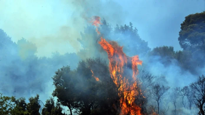 Mεγάλη φωτιά στον Μελιγαλά Μεσσηνίας