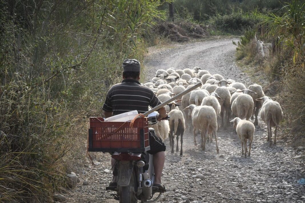 66579cb16e95d18a98c6af437c16dcdc_XL