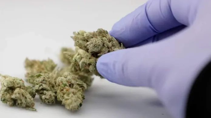 Συνελήφθησαν δύο ανήλικοι στη Βούλα για κατοχή κάνναβης