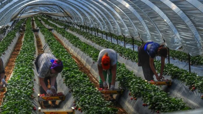 Ρήτρα αναπροσαρμογής: Επανασύνδεση ρεύματος χωρίς να πληρωθεί