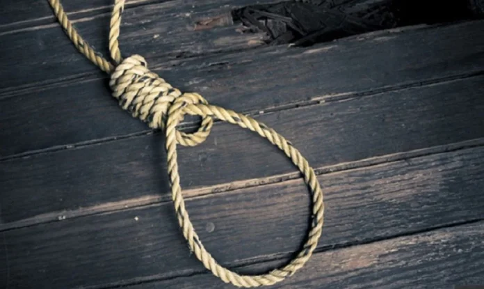 Κρήτη: Συνταξιούχος κρεμάστηκε από ελιά στο χωράφι του – Τον βρήκε νεκρό ο γιος του