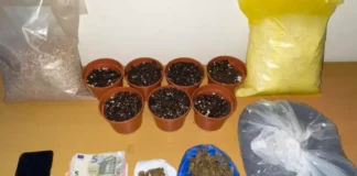 Ο «Kullο» βρήκε χασισόδεντρα και κάνναβη στη Μυτιλήνη