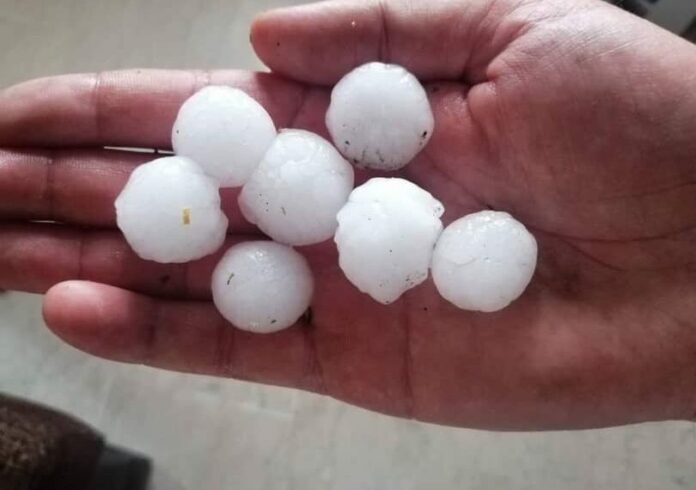 Φλώρινα: Χαλάζι σαν… φουντούκι στο Αμύνταιο – Ανησυχία για καλλιέργειες (video)