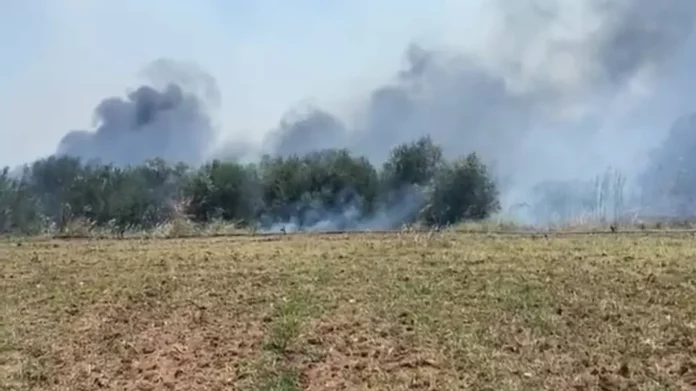 Βόλος: Φωτιά στον Αλμυρό – Συναγερμός στην Πυροσβεστική