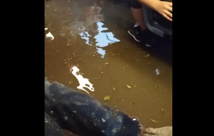 Θεσσαλονίκη: Πλημμύρισε αστικό στη Μοναστηρίου – Περιπέτεια για τους επιβάτες (VIDEO)