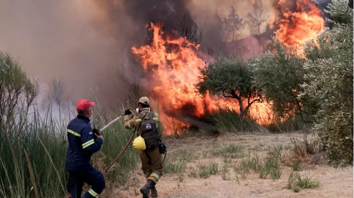 Βόλος: Φωτιά ξέσπασε στις Αλυκές
