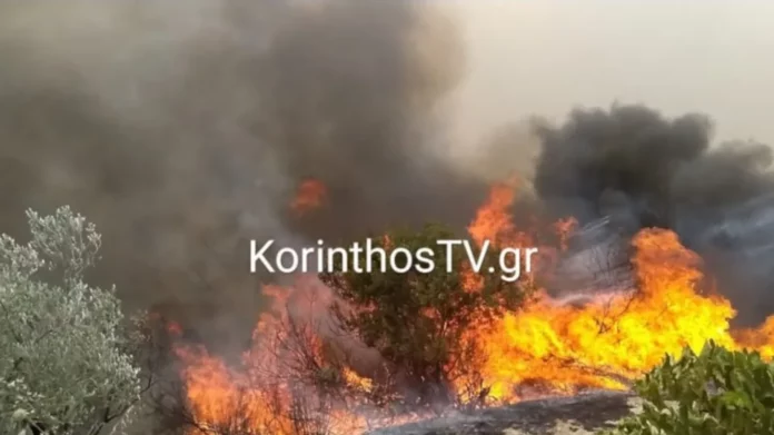 Μεγάλη φωτιά από κεραυνό στα Στραβά Λουτρακίου – Επιχειρούν τρία εναέρια μέσα