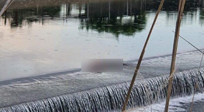 Ημαθία: Νεκρή 39χρονη που έπεσε σε αρδευτικό κανάλι (VIDEO)