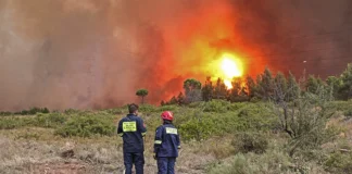 Υπό μερικό έλεγχο η φωτιά στα Στραβά Λουτρακίου