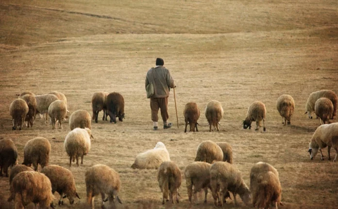 Κρήτη: 30χρονος βοσκός έδειξε τα γεννητικά του όργανα σε τουρίστες – Κόλλησε στο τζάμι και κατέβασε το παντελόνι