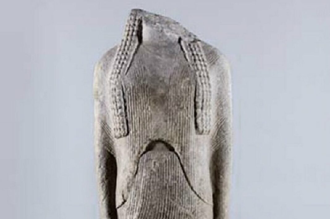 w12-115016ornithe_252863_324827_type13262