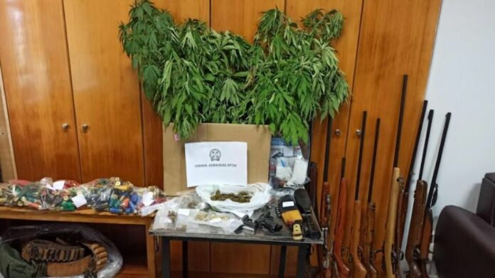 Άρτα: Διπλή χασισοφυτεία με οπλοστάσιο και πλαστές σφραγίδες