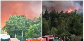 Απίστευτα πράγματα: Εκκενώθηκε το συντονιστικό κέντρο που είχε στηθεί για την αντιμετώπιση της φωτιάς στον Έβρο!-(VIDEO)
