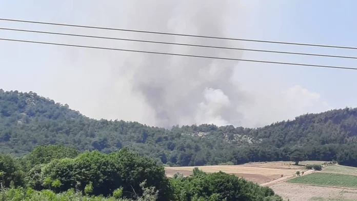 Λάρισα: Οικονομικά προβλήματα αντιμετώπιζε ο 56χρονος πατέρας που μαχαιρώθηκε από τον 18χρονο γιο του