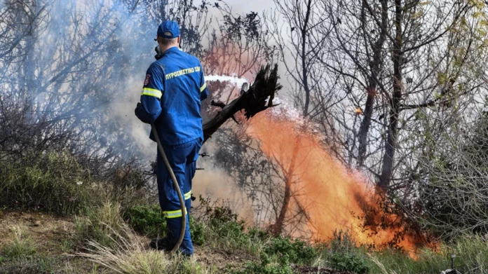 Ηλεία: Απειλεί σπίτια η φωτιά στη Βάλμη – Εκκενώθηκαν περιοχές